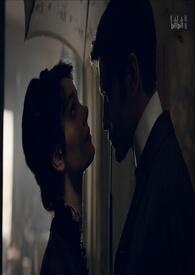 �Һͱ��ڵĶ�����