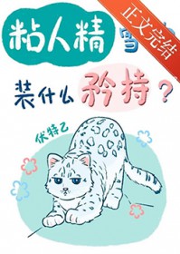 ճ�˾�ѩ��װʲô����