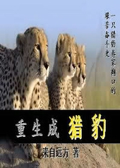 �������Ա�