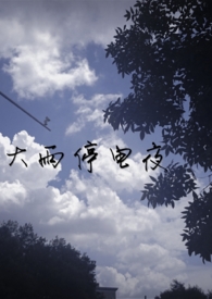 ����ͣ��ҹ����H��