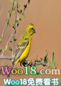 ����������ȸ��1v1 ��� HE��