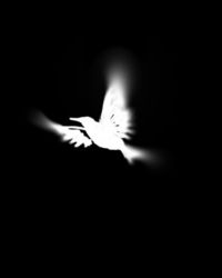 ����֮��