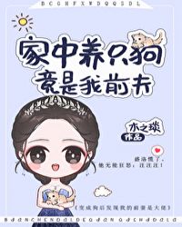 ������ֻ����������ǰ��