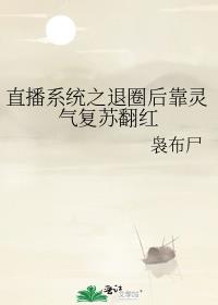 ֱ��ϵͳ֮��Ȧ���������շ���