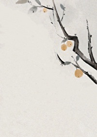 �ڴ�������Ů���а�Ů