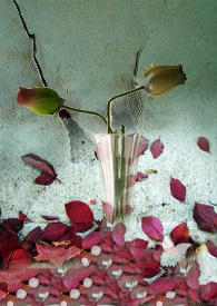 �����������̵����⣬ֻΪ��