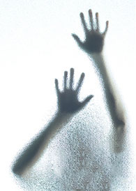 ��Ӱ����